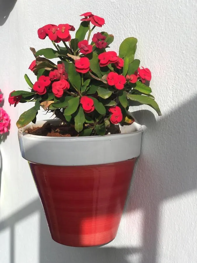 Apartmán Isleta 5 La Isleta del Moro Španělsko